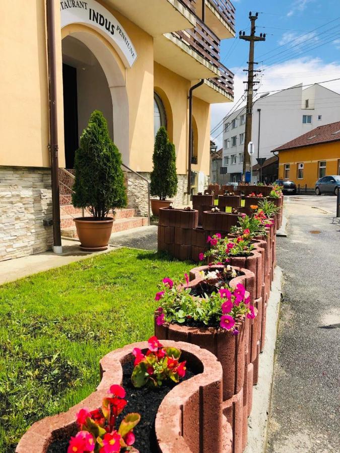 Pensiune Restaurant Indus Ocna Sibiului Bagian luar foto